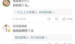 助理爆料贾静文视频,助理爆料背后的惊人真相